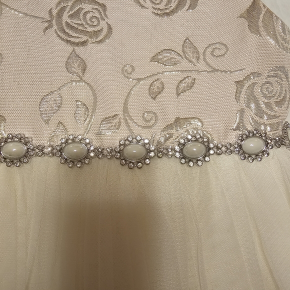 Couture Princess Light Pink Tulle Dress w/ Silver Embossed Roses & Pearl Crystal - Picture 6 of 6